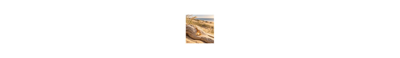 Golden Dunes
